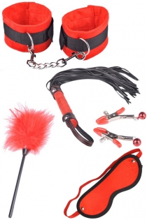 Red BDSM Toys Including Feather Tickler, Mask, Whip, Nipple Clamps, and Handcuffs