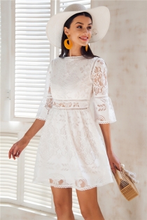 Hollow out lace dress women Button half sleeve streetwear white dress Spring 2018 causal short dress vestidos robe femme