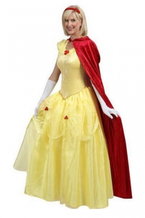 Stunning Long Fairy Tale Belle Princess Costume Dress